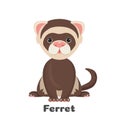 Ferret animal with wide open eyes vector illustration isolated