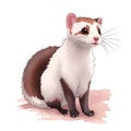 Ferret in cartoon style. Cute Little Cartoon Ferret isolated on white background. Watercolor drawing, hand-drawn Ferret in Royalty Free Stock Photo