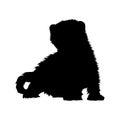 Ferret  Mustela Putorius Furo Silhouette Found In Map Of Europe Royalty Free Stock Photo