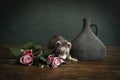 A ferret or polecat puppy in a stillife scene with red frozen roses and a blue bottle against a green background