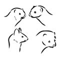 Ferret side view, hand drawn doodle, drawing sketch in gravure style, vector illustration