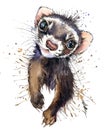 Ferret watercolor illustration. cute marten. fashion Tee shirt design.