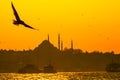 Ferries, seagulls and Suleymaniye Mosque in Istanbul Royalty Free Stock Photo