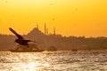 Ferries, seagulls and Suleymaniye Mosque in Istanbul Royalty Free Stock Photo