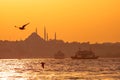 Ferries, seagulls and Suleymaniye Mosque in Istanbul Royalty Free Stock Photo