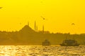 Ferries, seagulls and Suleymaniye Mosque in Istanbul Royalty Free Stock Photo