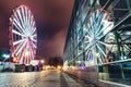 Ferries wheel in night park Royalty Free Stock Photo