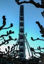 Ferris wheel on an abstract background between tree branches and the sky Royalty Free Stock Photo