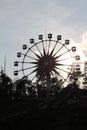 A ferris wheel in an amusement park