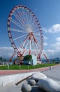 Ferris wheel on Batumi seaside ÃÂ±Georgia,Adzharia Royalty Free Stock Photo