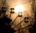 Ferris wheel cabin sunset silhouette surrounded by naked tree branches