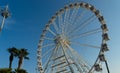 Ferris Wheel with Clean Skies and palm trees Royalty Free Stock Photo