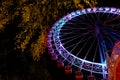 Ferris wheel with color lighting in funfair at night Royalty Free Stock Photo