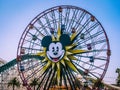 Mickey`s Fun Wheel at California Adventure Disneyland Royalty Free Stock Photo