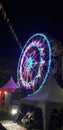 Ferris wheel game night market
