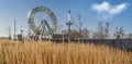 Ferris wheel with herbage