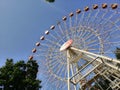 Ferris wheel in Minsk