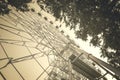 Ferris Wheel Near Branches of Trees