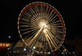 Ferris wheel at night