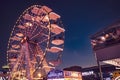 ferris wheel at night