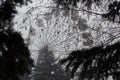 Ferris wheel in an old abandoned park in the autumn in thick fog Royalty Free Stock Photo