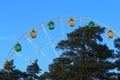 Ferris wheel over pines Royalty Free Stock Photo