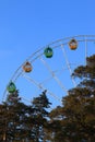 Ferris wheel over pines Royalty Free Stock Photo