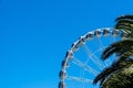 Ferris wheel and a palm tree against the blue sky Royalty Free Stock Photo