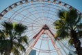 Ferris wheel between palm trees in Batumi city Royalty Free Stock Photo
