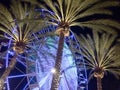 Ferris wheel and palm trees illuminated at night colorful light Royalty Free Stock Photo