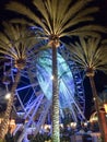 Ferris wheel and palm trees illuminated at night colorful light Royalty Free Stock Photo