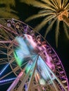 Ferris wheel and palm trees illuminated at night colorful light Royalty Free Stock Photo