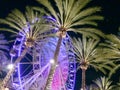 Ferris wheel and palm trees illuminated at night colorful light Royalty Free Stock Photo