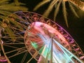 Ferris wheel and palm trees illuminated at night colorful light Royalty Free Stock Photo