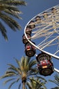 Ferris Wheel And Palm Trees Royalty Free Stock Photo