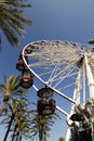 Ferris Wheel With Palm Trees Royalty Free Stock Photo