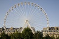 Ferris Wheel, Paris, France Royalty Free Stock Photo