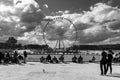 Roue de Paris - Ferris Wheel, Paris