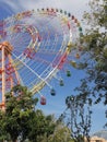 Ferris wheel in the park, attraction