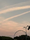 Ferris wheel in the park at the Downtown Miami at sunset Royalty Free Stock Photo