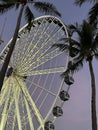 Ferris wheel in the park at the Downtown Miami at sunset Royalty Free Stock Photo