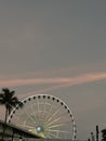 Ferris wheel in the park at the Downtown Miami at sunset Royalty Free Stock Photo