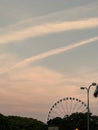 Ferris wheel in the park at the Downtown Miami at sunset Royalty Free Stock Photo