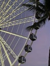 Ferris wheel in the park at the Downtown Miami at sunset Royalty Free Stock Photo