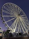 Ferris wheel in the park at the Downtown Miami at sunset Royalty Free Stock Photo