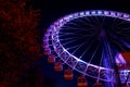 Ferris wheel with purple lighting and trees at night