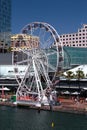 Darling Harbour Ferris Wheel, Sydney Royalty Free Stock Photo