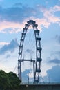 Ferris wheel - Singapore Flyer Royalty Free Stock Photo