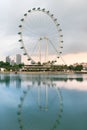 Ferris wheel - Singapore Flyer Royalty Free Stock Photo
