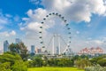 Ferris wheel - Singapore Flyer in Singapore Royalty Free Stock Photo